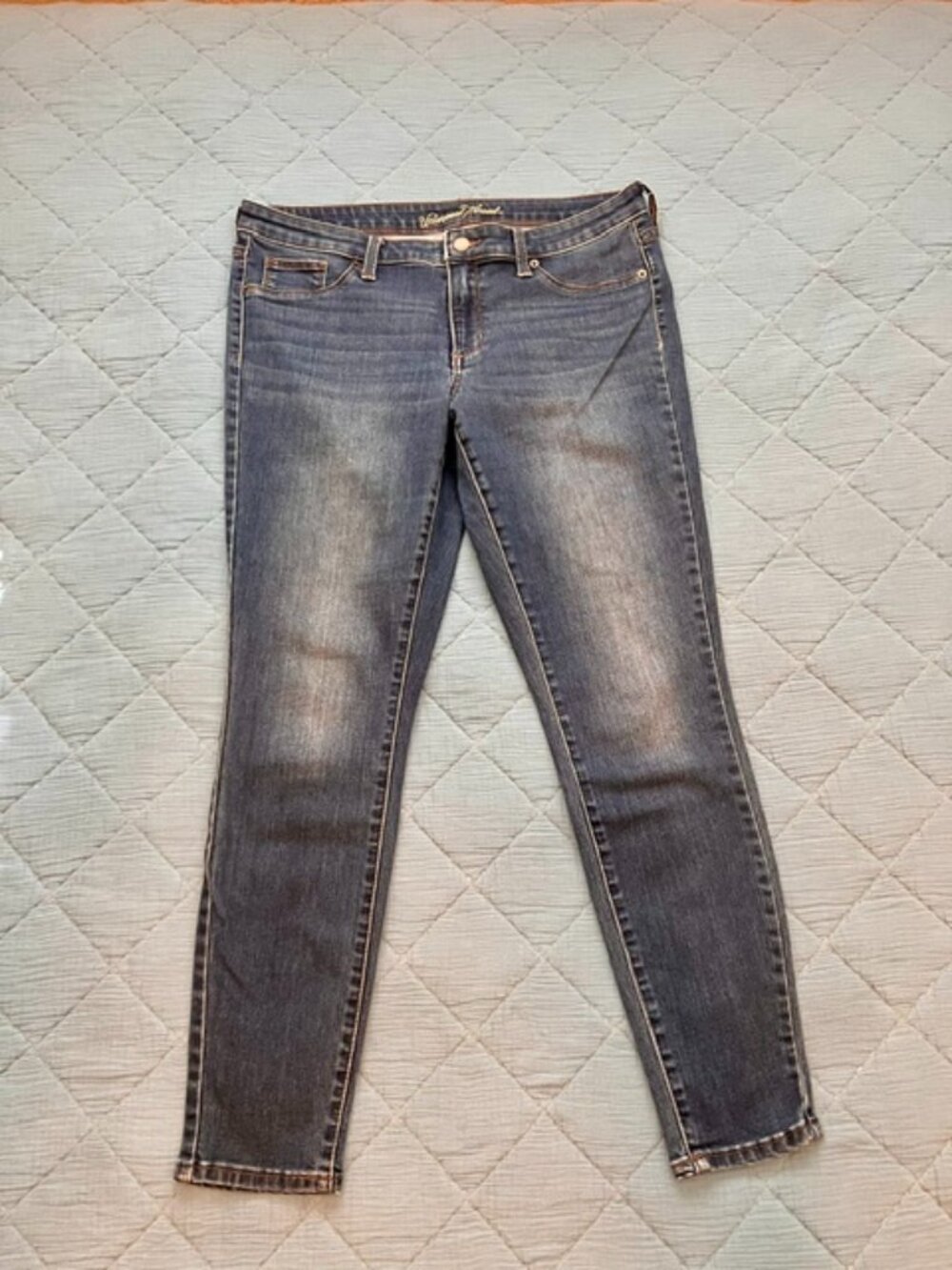 Women's Universal Thread Mid Rise Jegging size 12/31 Regular